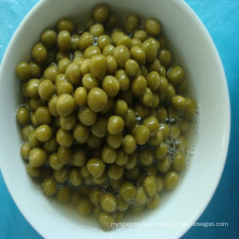 Best Canned Green Peas in Brine with Cheap Price